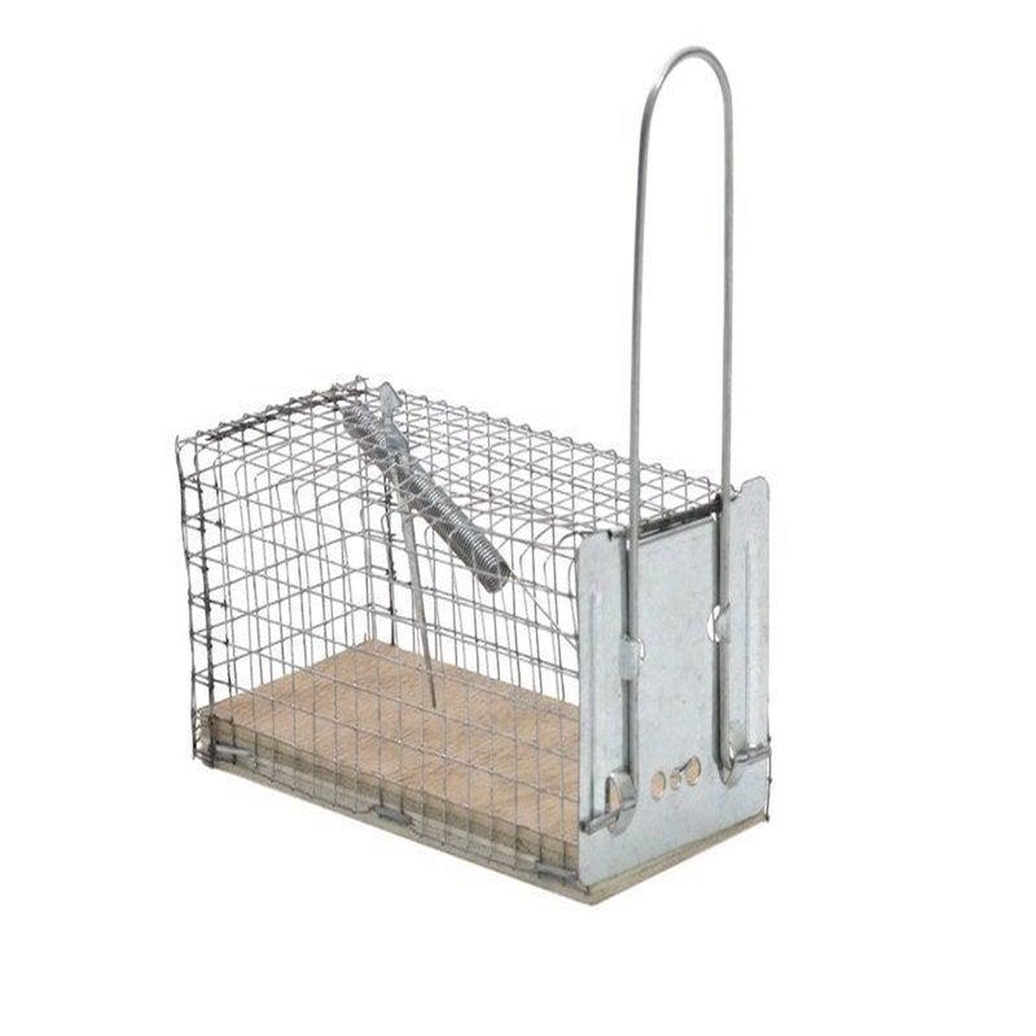 CENTRALE BRICO Nasse à souris socle bois, CAUSSADE