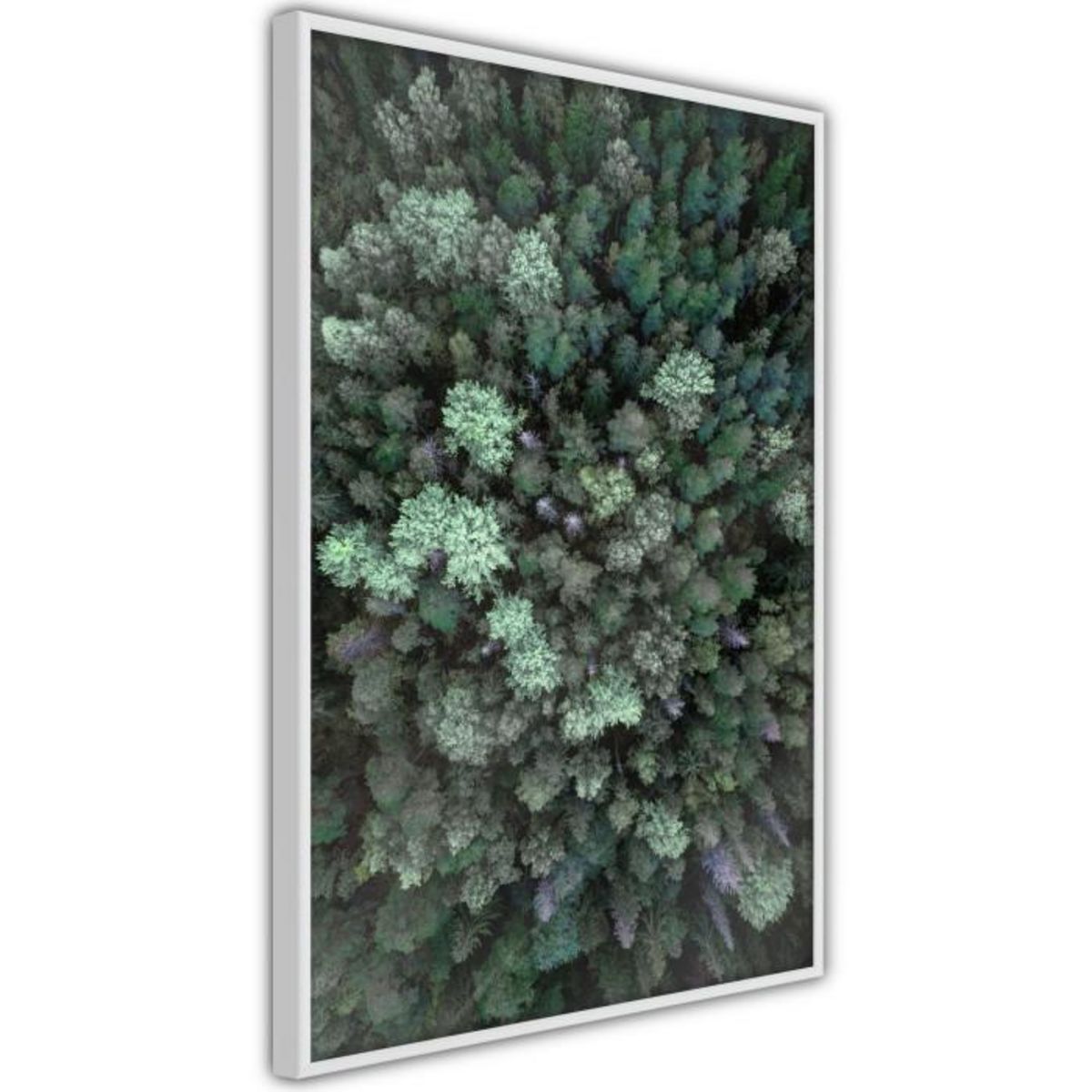 Paris Prix Affiche Murale Encadrée  World form High Above