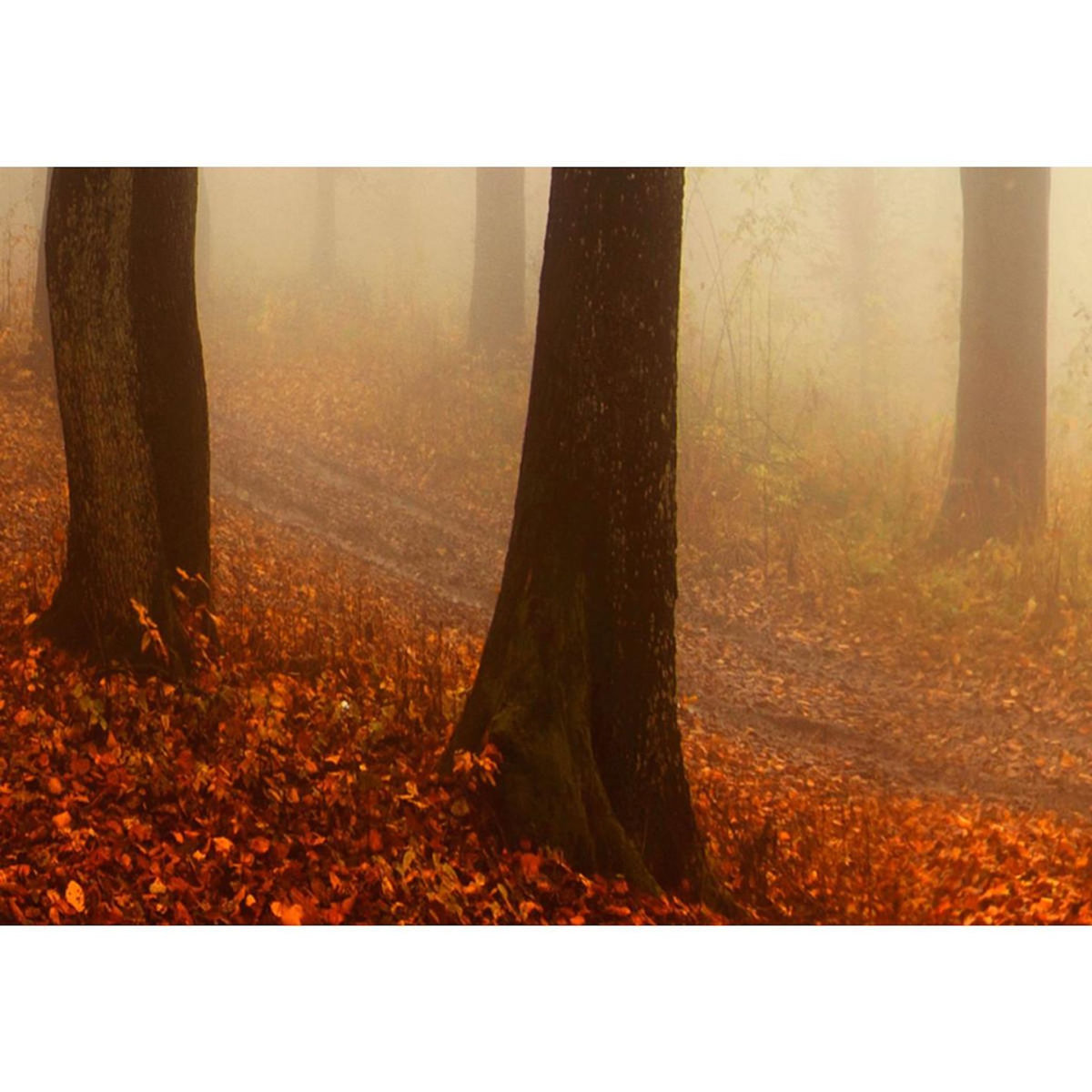 Paris Prix Tableau Imprimé  Morning Fog
