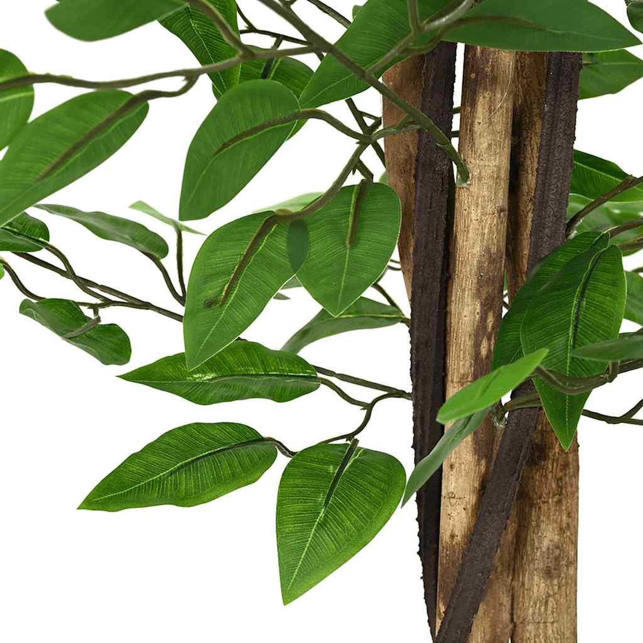 Voir la diapositive 3 : VIDAXL Plante artificielle ficus 788 feuilles 120 cm vert