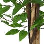 Voir la diapositive 3 : VIDAXL Plante artificielle ficus 788 feuilles 120 cm vert