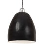 Voir la diapositive 1 : VIDAXL Lampe suspendue industrielle 25 W Noir Rond 42 cm E27