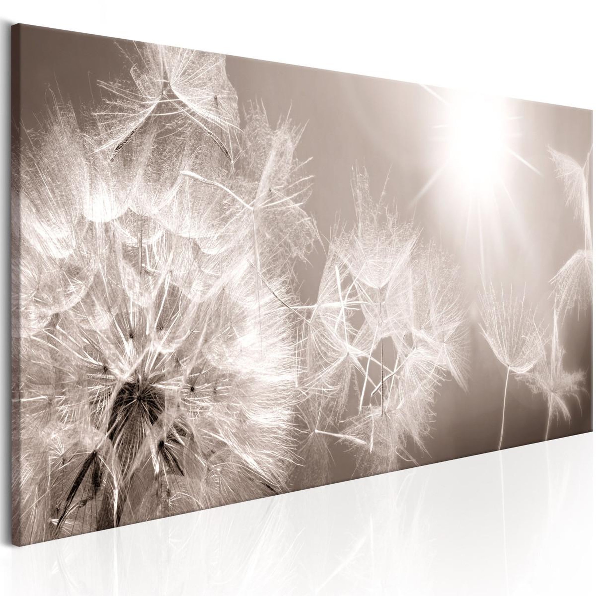 Voir la diapositive 1 : Paris Prix Tableau Imprimé  Summer Dandelions
