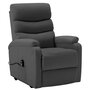 VIDAXL Fauteuil inclinable Anthracite Similicuir