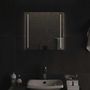 Voir la diapositive 1 : VIDAXL Miroir de salle de bain a LED 50x50 cm