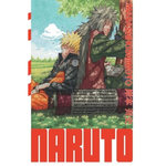 NARUTO EDITION HOKAGE TOME 21 , Kishimoto Masashi
