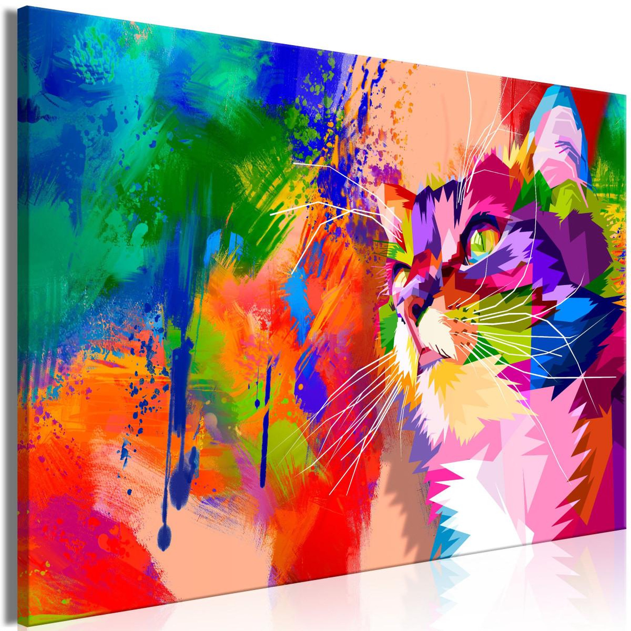 Paris Prix Tableau imprimé  colourful cat wide. Coloris disponibles : Multicolore