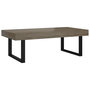 Voir la diapositive 2 : VIDAXL Table basse Gris et noir 120x60x40 cm MDF et fer