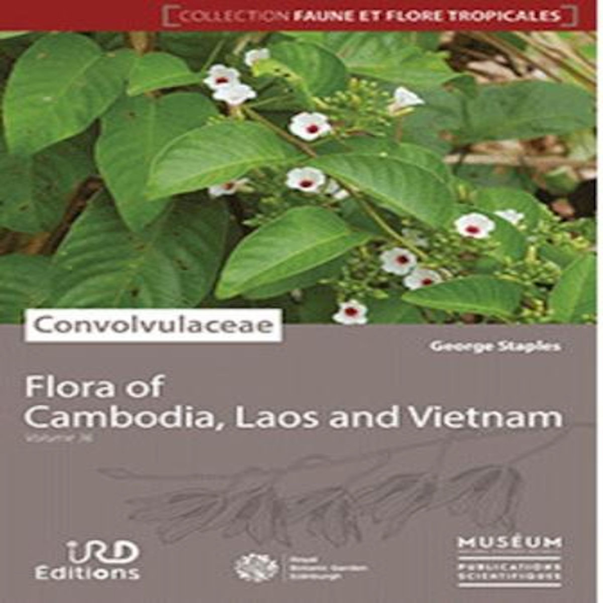 FLORA OF CAMBODIA, LAOS AND VIETNAM. VOLUME 36, CONVOLVULACEAE, EDITION EN ANGLAIS, Staples George