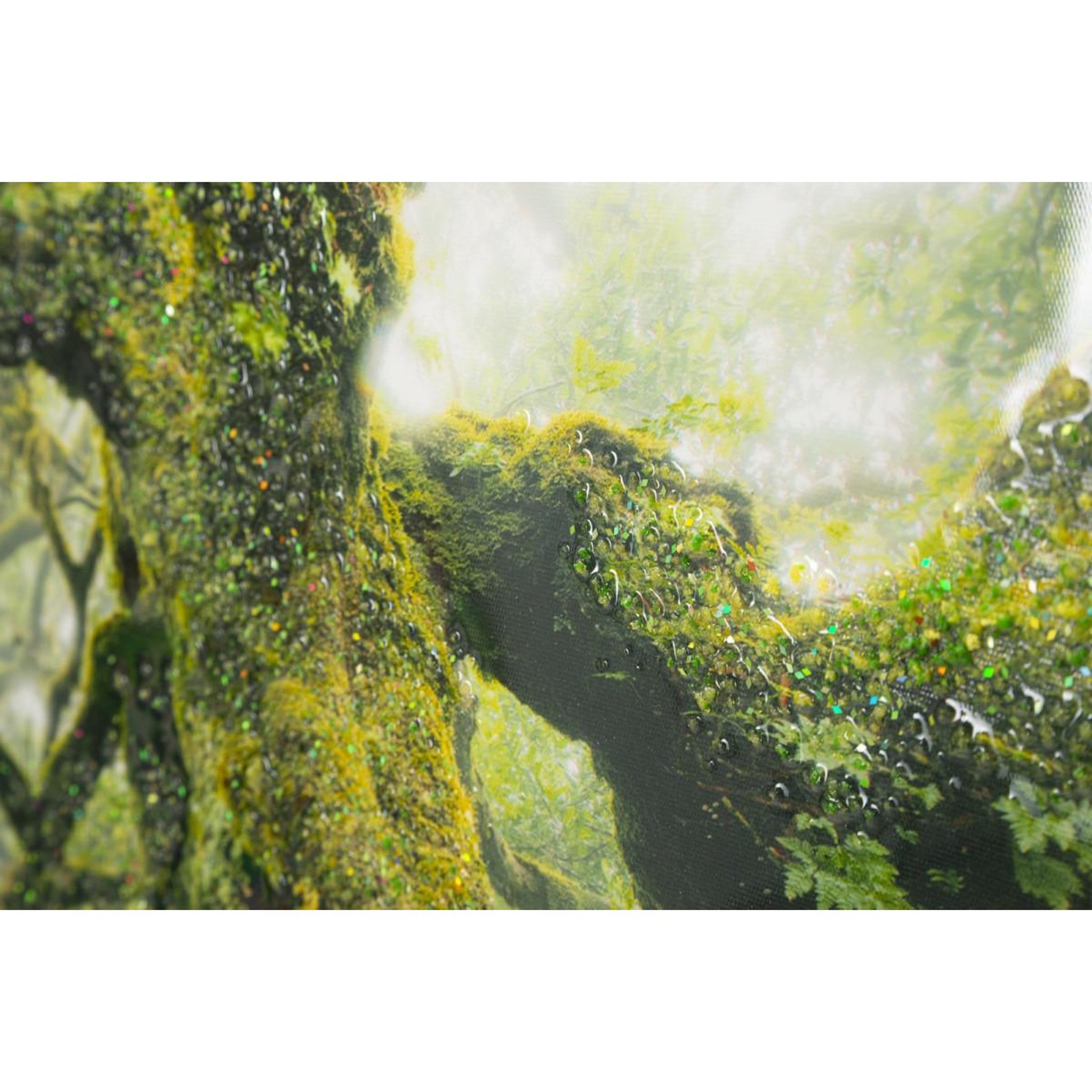 Voir la diapositive 5 : Paris Prix Tableau imprimé  forêt  90x60cm vert