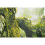 Voir la diapositive 5 : Paris Prix Tableau Imprimé  Forêt  90x60cm Vert