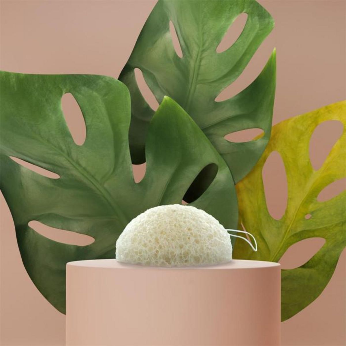 Paris Prix Éponge Konjac Naturelle  Nettoyage  6cm Blanc