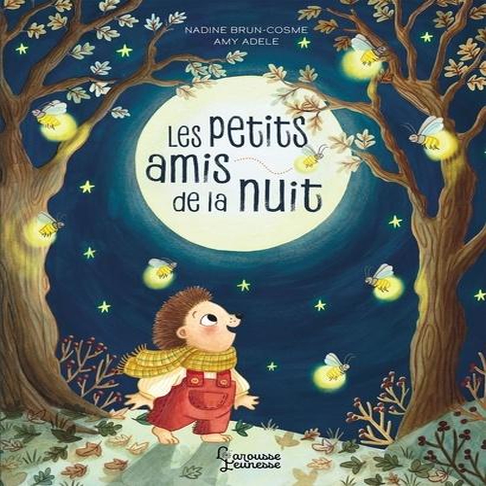 LES PETITS AMIS DE LA NUIT, Brun-Cosme Nadine