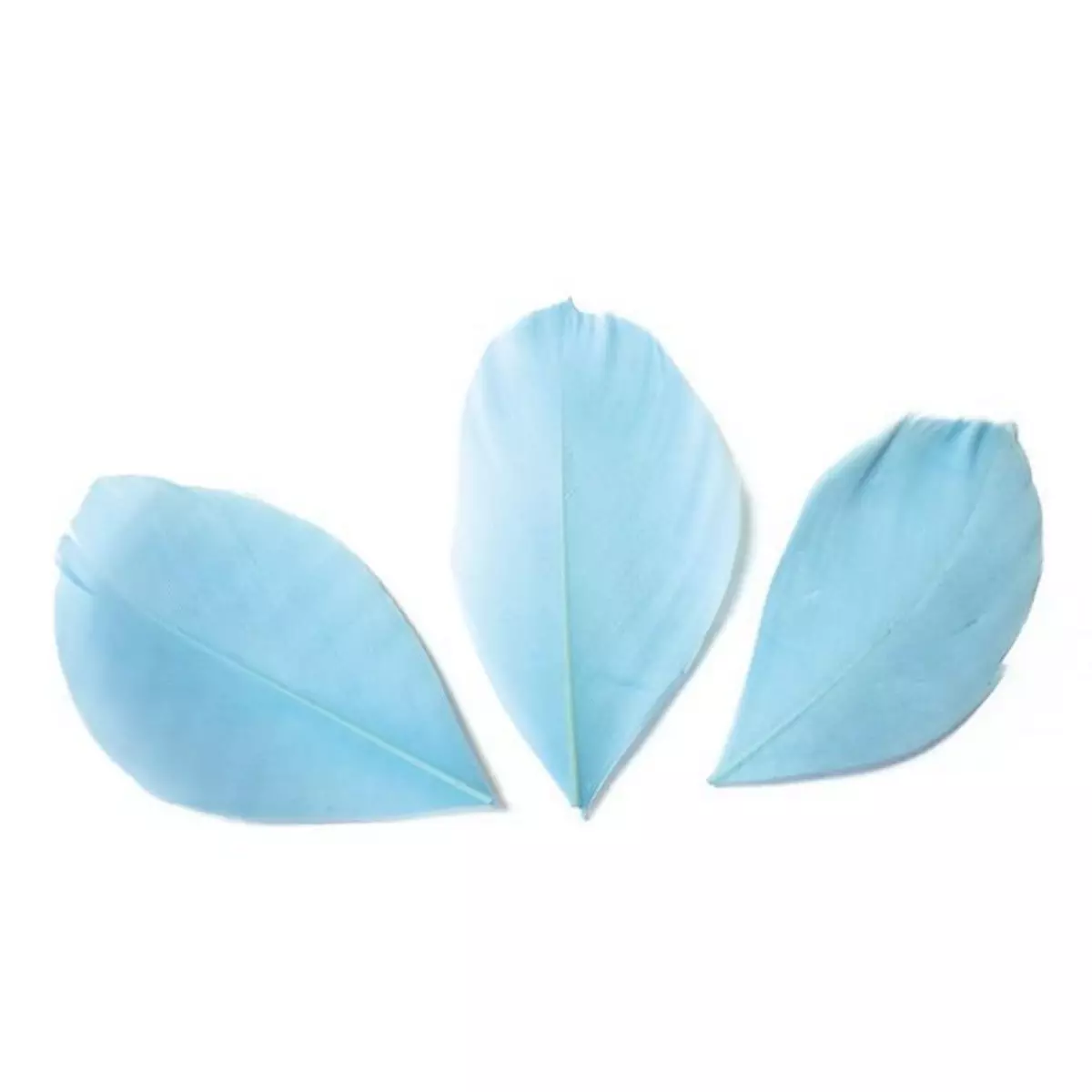 Graine créative 50 plumes coupées - Bleu clair 6 cm