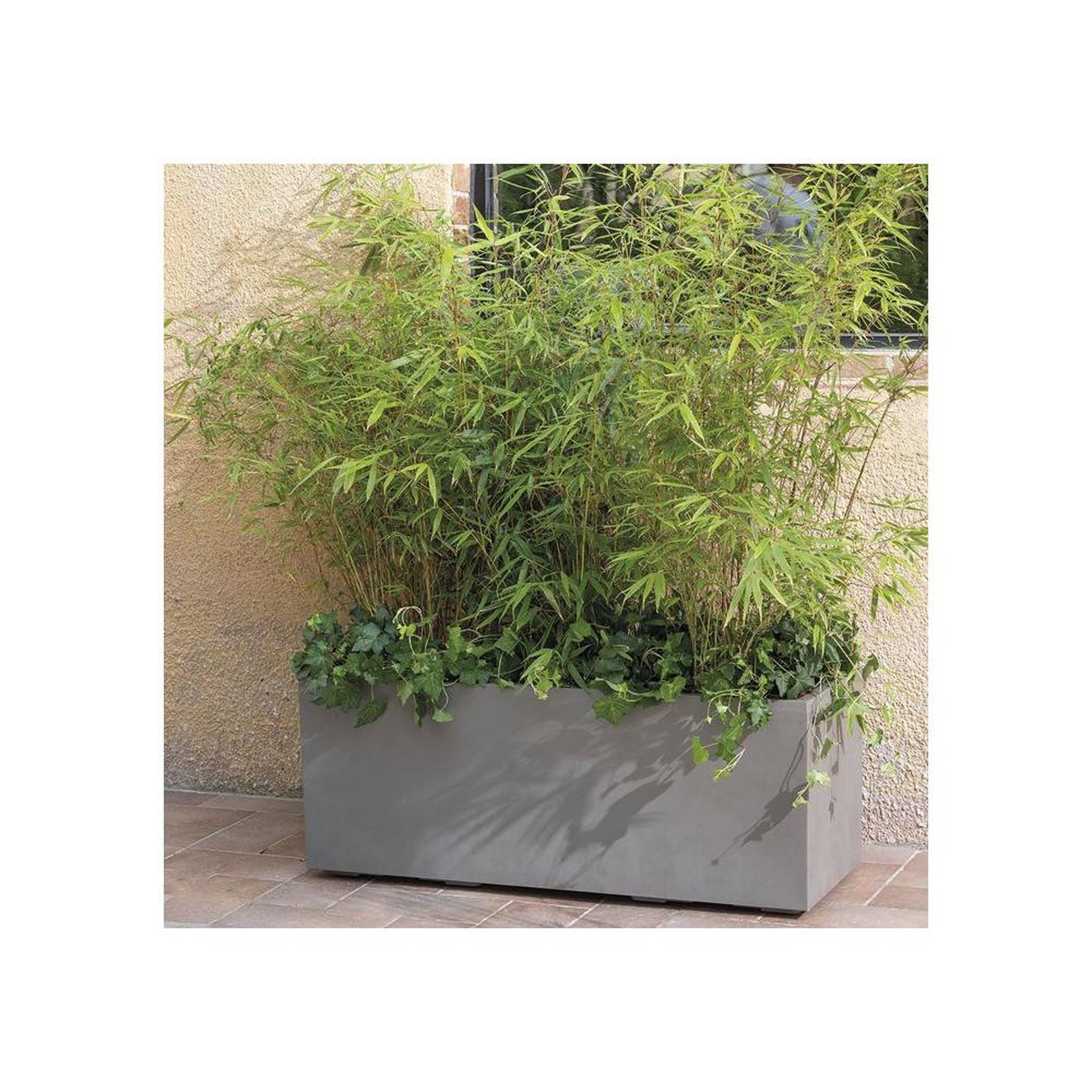 Voir la diapositive 2 : DEROMA Deroma millennium jardinière rectangulaire marron 97 l avec réservoir d'eau et roulettes
