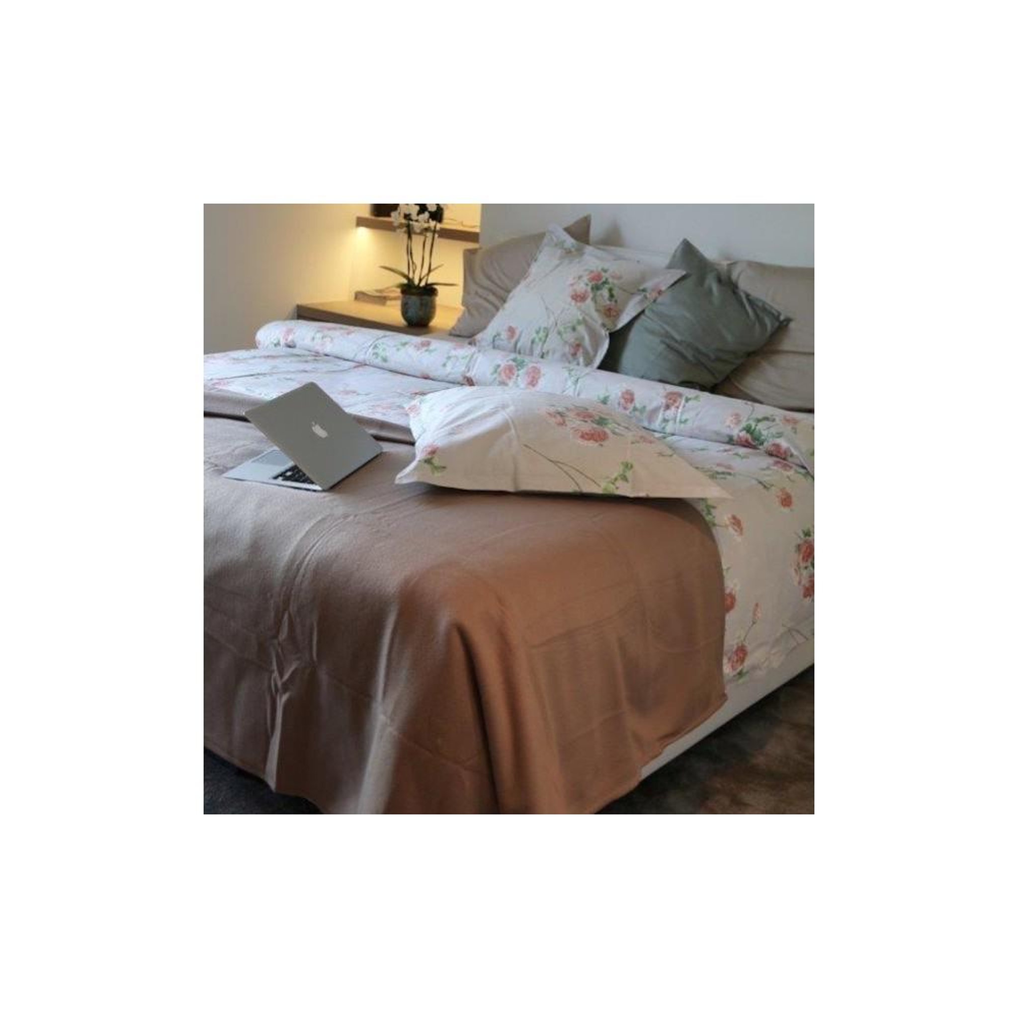 Voir la diapositive 2 : VANDERSICKEL Couverture polaire 220x240 taupe