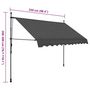 Voir la diapositive 6 : VIDAXL Auvent manuel retractable avec LED 250 cm Anthracite
