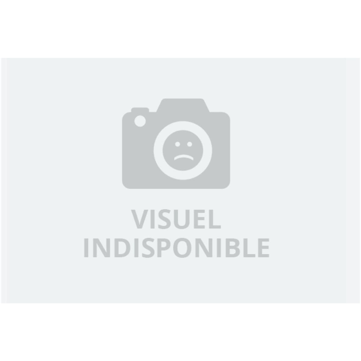 Trousselier Boite pour manivelle musicale - Le Petit Prince