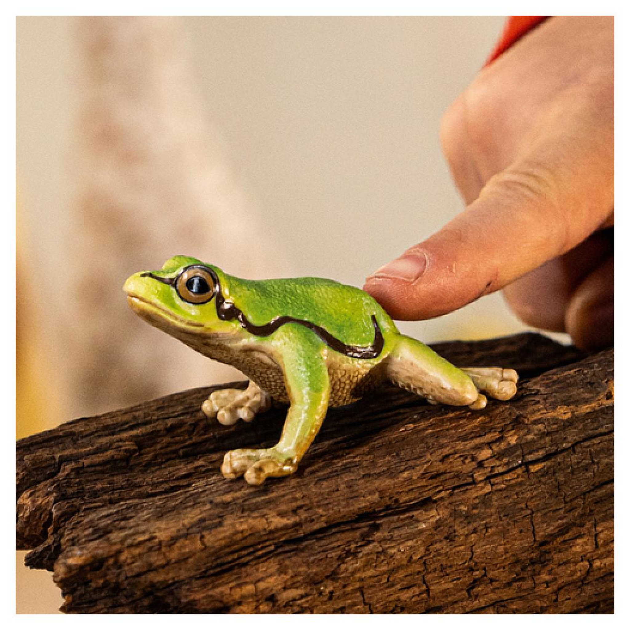 Voir la diapositive 2 : Schleich 14882 figurine Rainette Verte