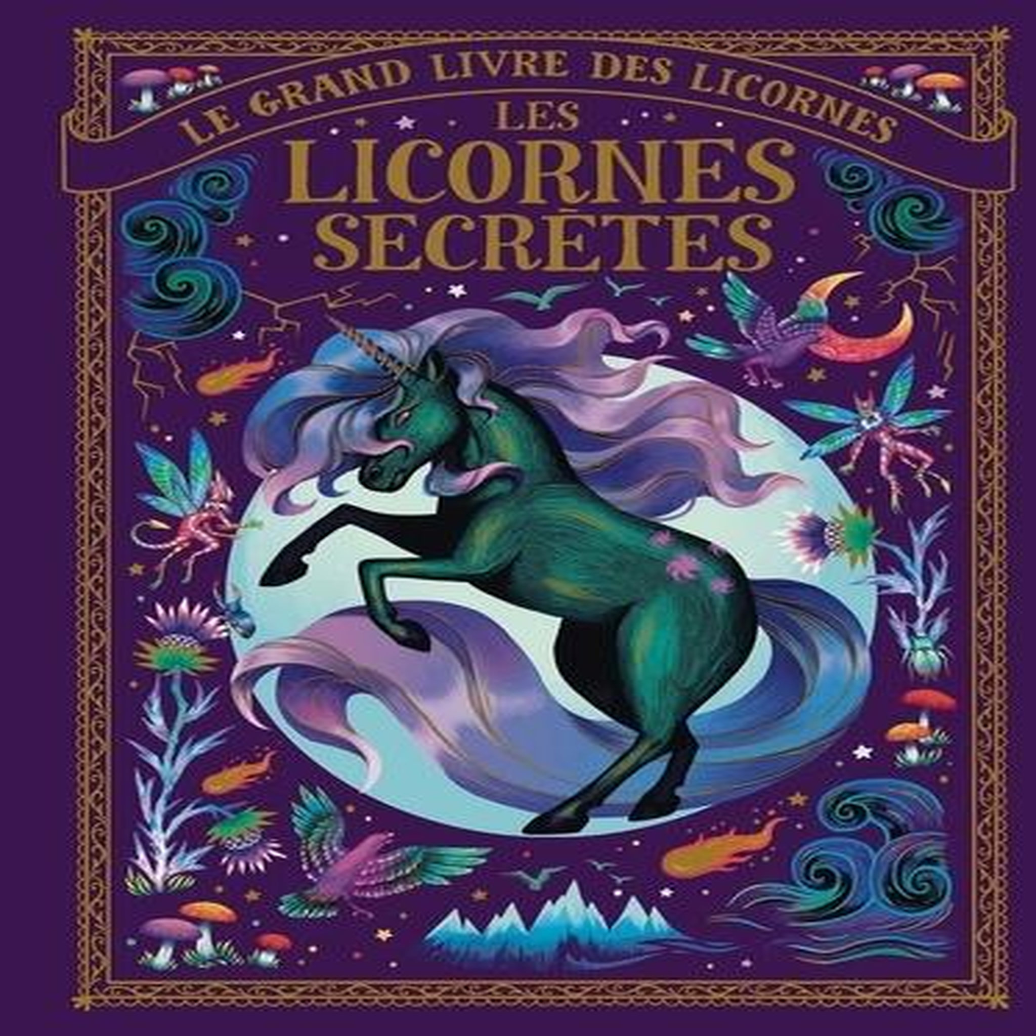 LE GRAND LIVRE DES LICORNES. LES LICORNES SECRETES, Jenkins Indira
