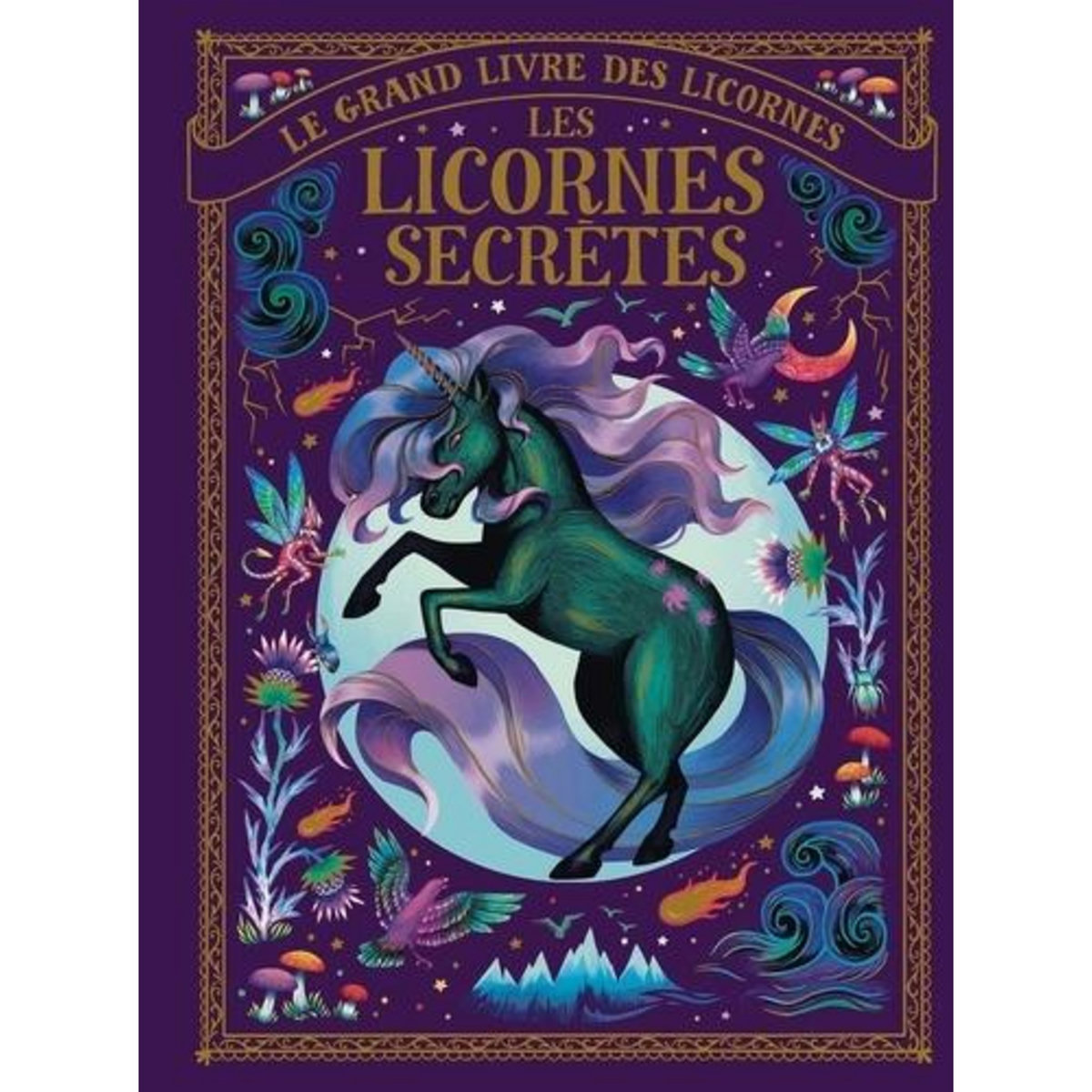 LE GRAND LIVRE DES LICORNES. LES LICORNES SECRETES, Jenkins Indira