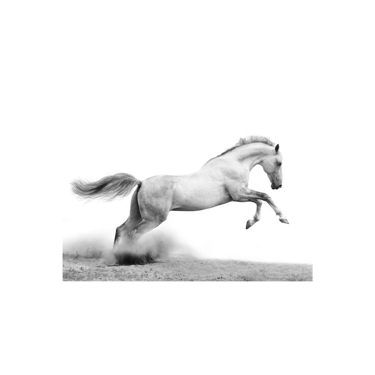 Paris Prix Papier Peint  White Gallop