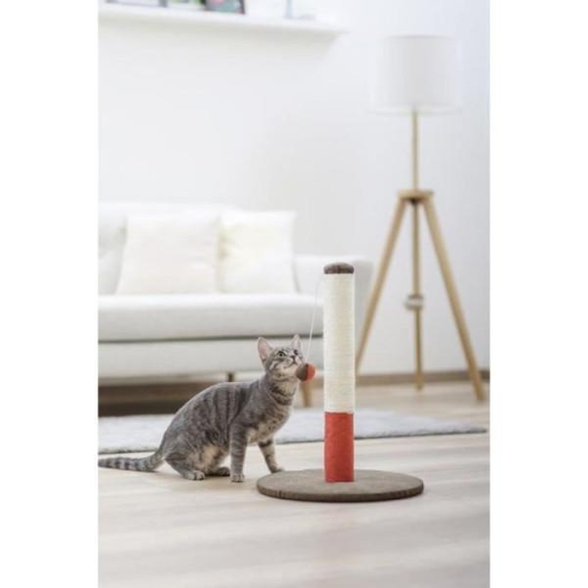 Voir la diapositive 3 : KERBL KERBL - Poteau griffoir pour chat - Tronc  - 50cm - OPAL BASIC - Bordeaux/marron - Sisal
