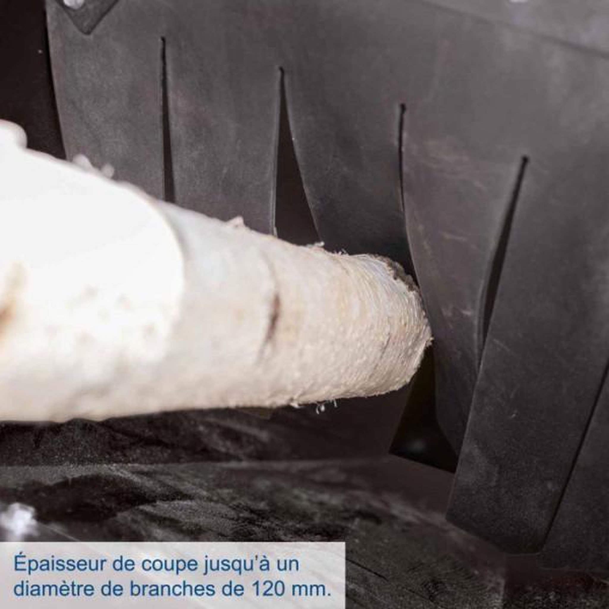 Voir la diapositive 5 : SCHEPPACH Broyeur thermique a démarrage électrique PGS420E