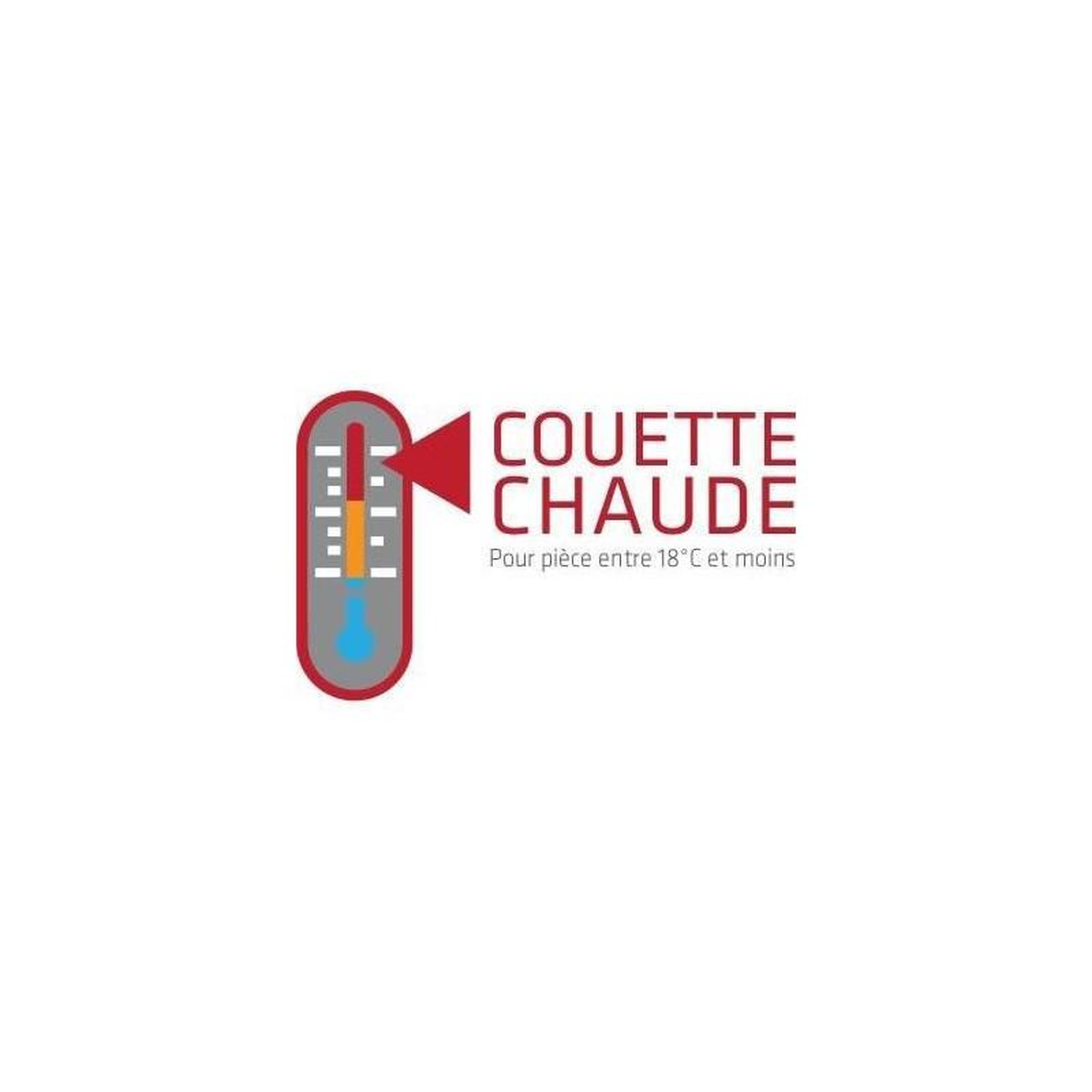 Voir la diapositive 6 : ABEIL Couette Douceur Auvergnate - 220 x 240 cm - Chaude - 2 personnes - ABEIL