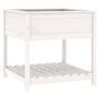 Voir la diapositive 2 : VIDAXL Jardiniere avec etagere Blanc 82,5x82,5x81cm Bois massif de pin