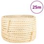 Voir la diapositive 1 : VIDAXL Corde 100 % sisal 16 mm 25 m