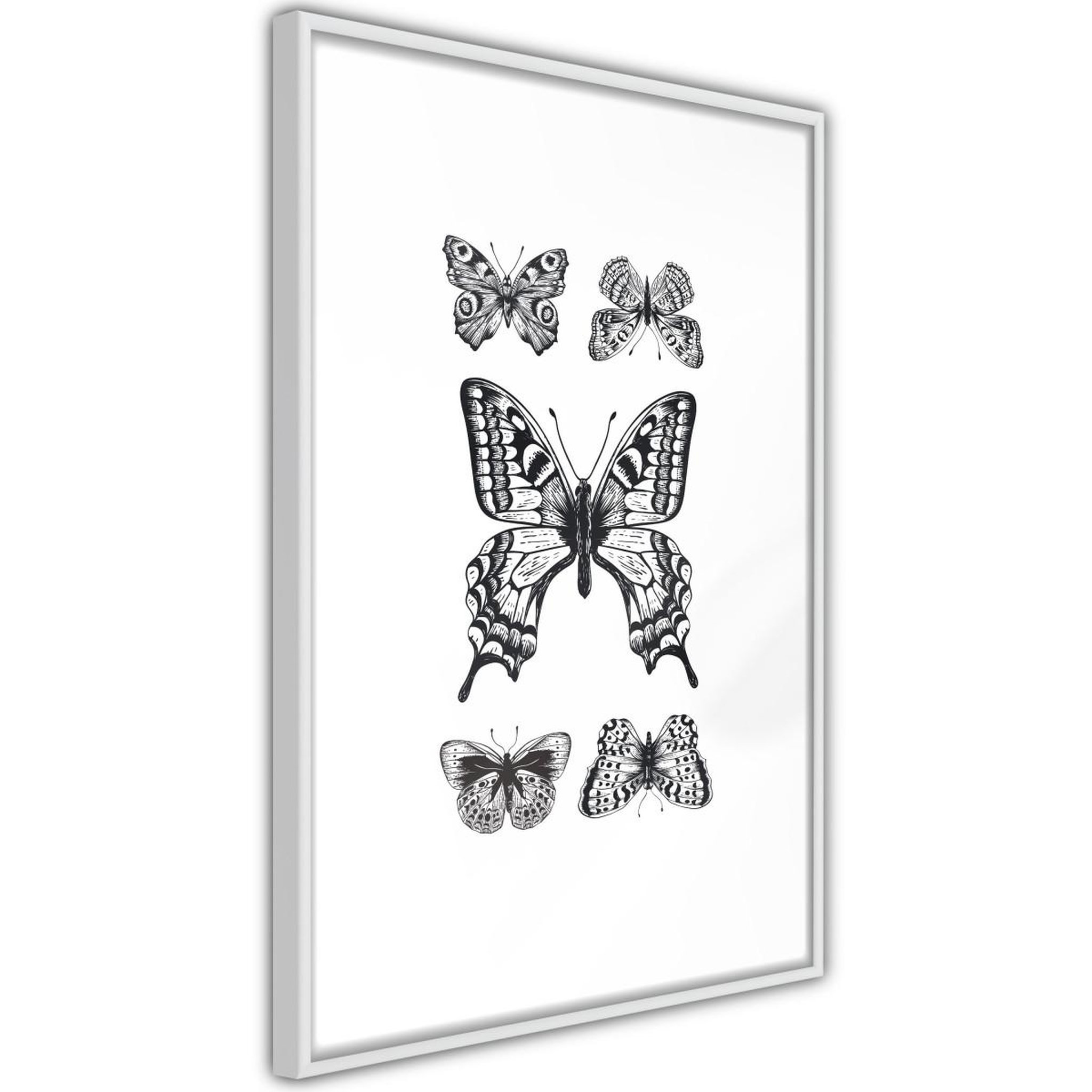 Paris Prix Affiche Murale Encadrée  Butterfly Collection IV