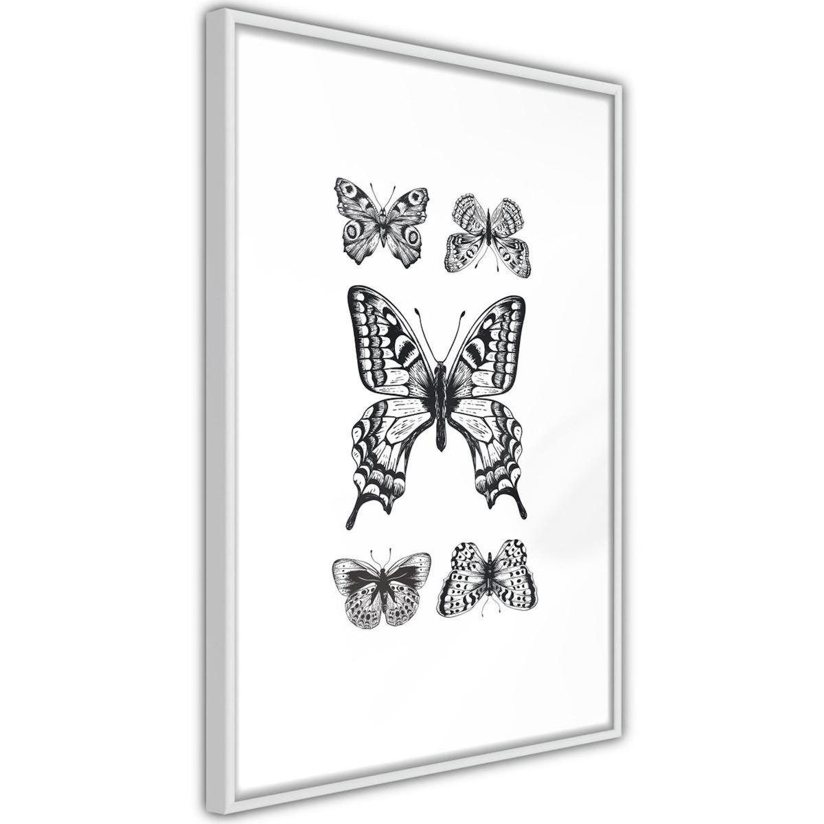 Paris Prix Affiche Murale Encadrée  Butterfly Collection IV