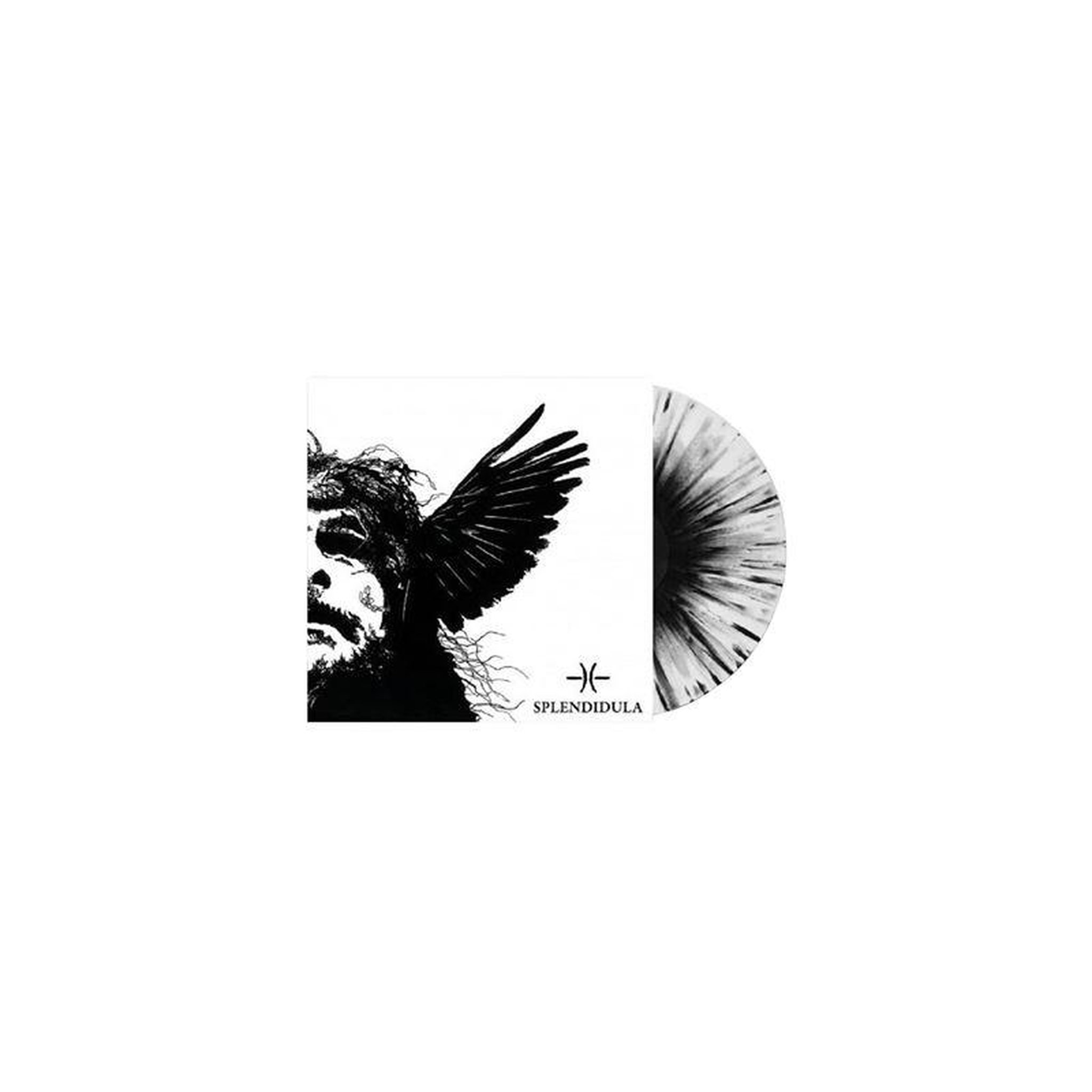 Vinyle lp 33 tours splendidula somnus en vinyle coloré two-tone 30 cm, 1 disque (édition 2022)