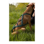 Voir la diapositive 3 : Harnais de traction pour chien - OLYMPIA - XL - Type X-back - Bleu