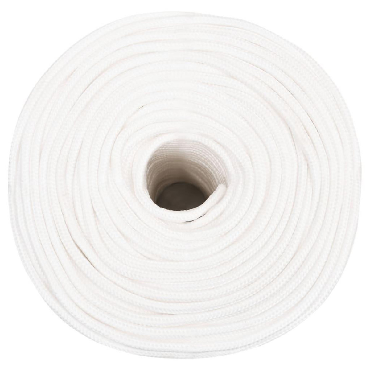 VIDAXL Corde de bateau Blanc complet 8 mm 25 m Polypropylene