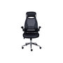 Voir la diapositive 1 : INTERLINK Chaise pivotante XL Tecwork noir