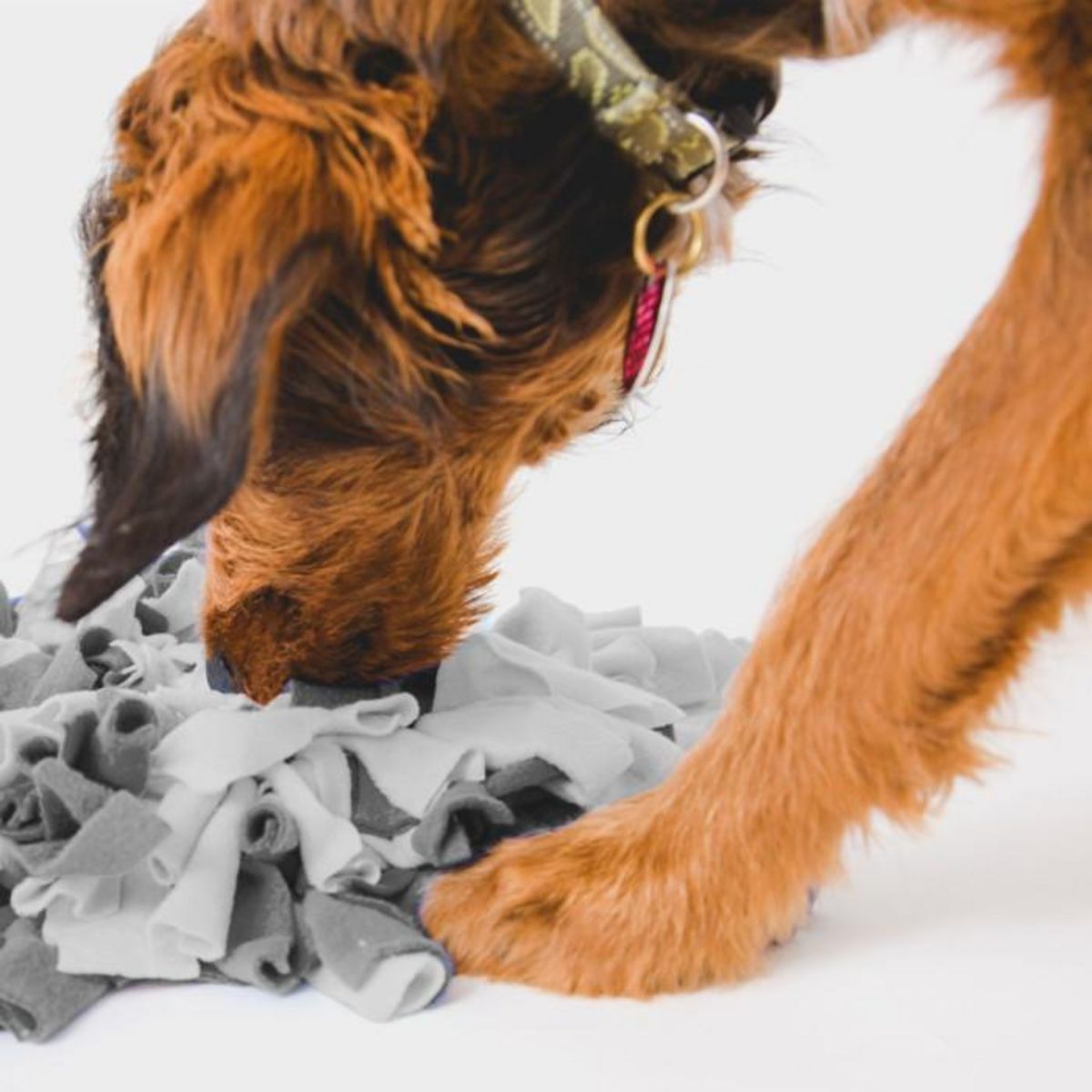 Paris Prix Tapis de Fouille  Raton Laveur  55cm Multicolore