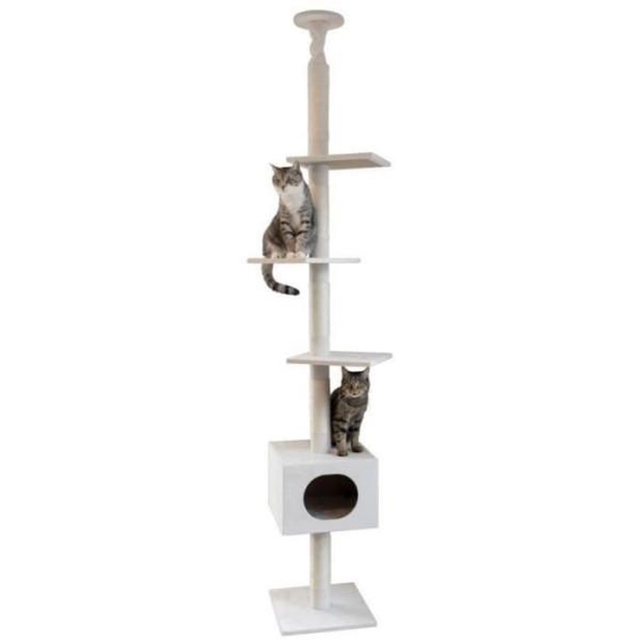 Voir la diapositive 2 : KERBL KERBL - Arbre a chat FERDI - 38 x 38 x 240 a 260 cm - Blanc - Sisal