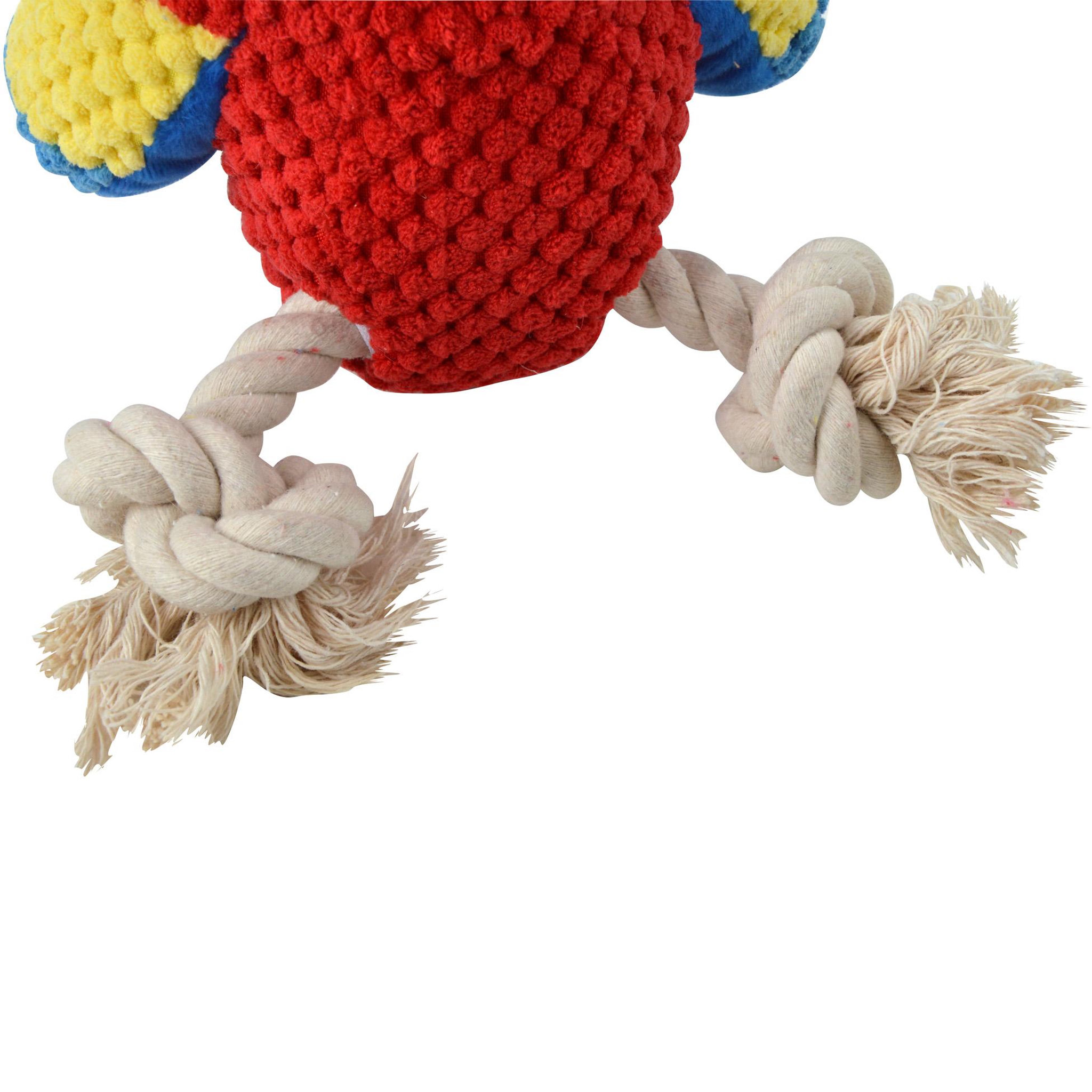 Voir la diapositive 3 : Eden Jeu peluche mateo le perroquet corde pour chien
