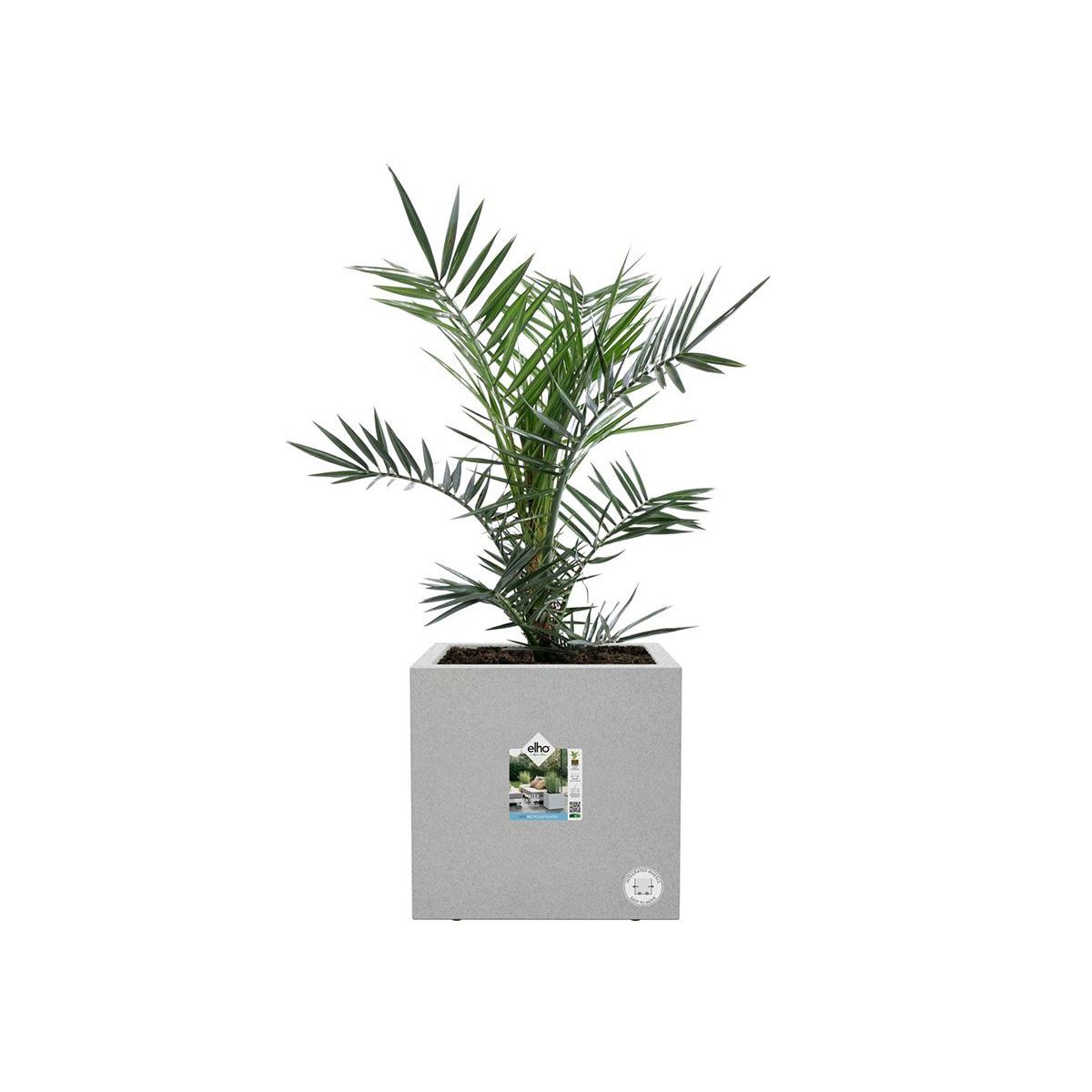 ELHO Jardinière carré en plastique 30 x 30 cm Elho Vivo Next Square ciment clair