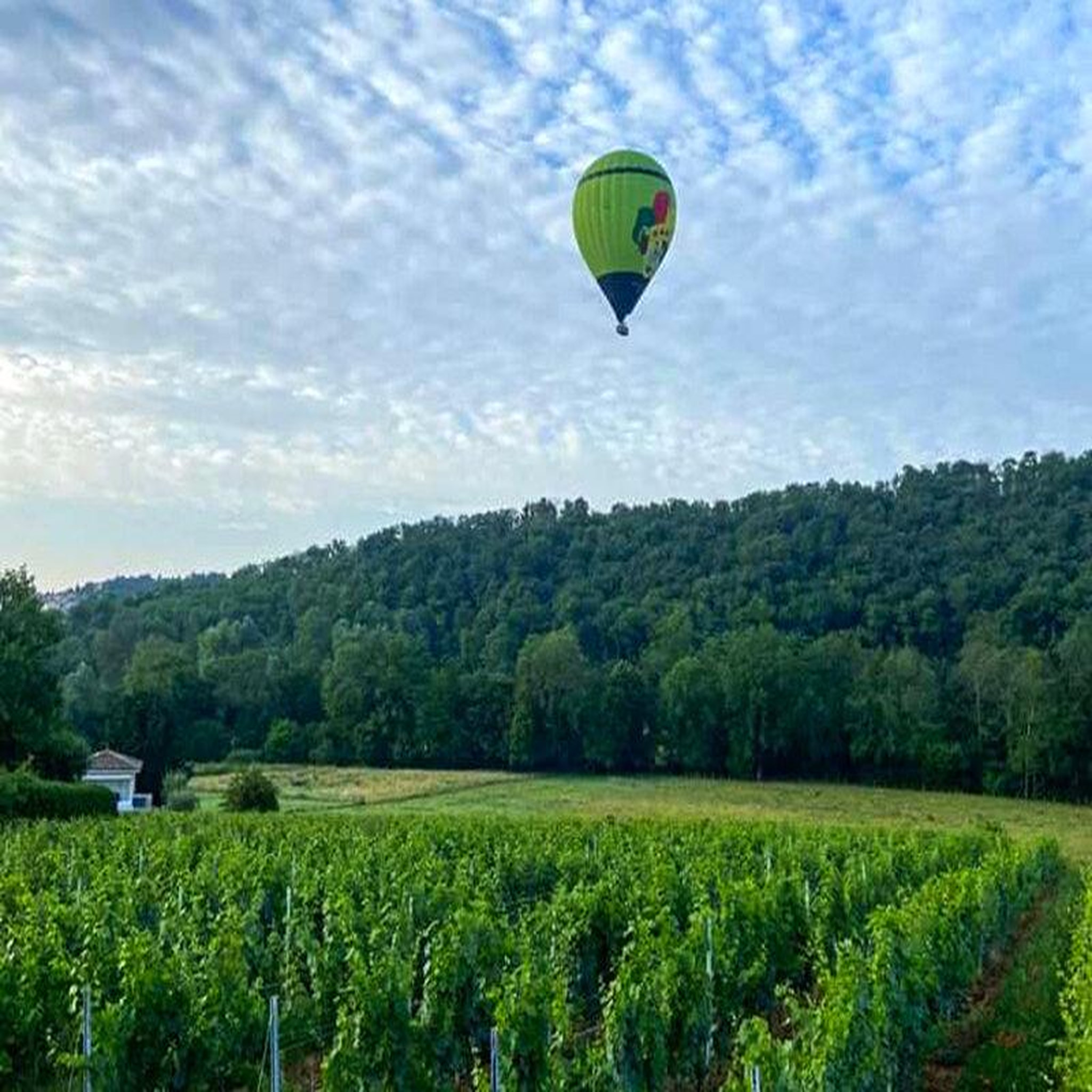Voir la diapositive 3 : Smartbox Vol en montgolfière au-dessus des vignobles du Beaujolais en semaine - Coffret Cadeau Sport & Aventure