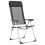 Voir la diapositive 2 : VIDAXL Chaise pliante de camping lot de 2 Noir Aluminium