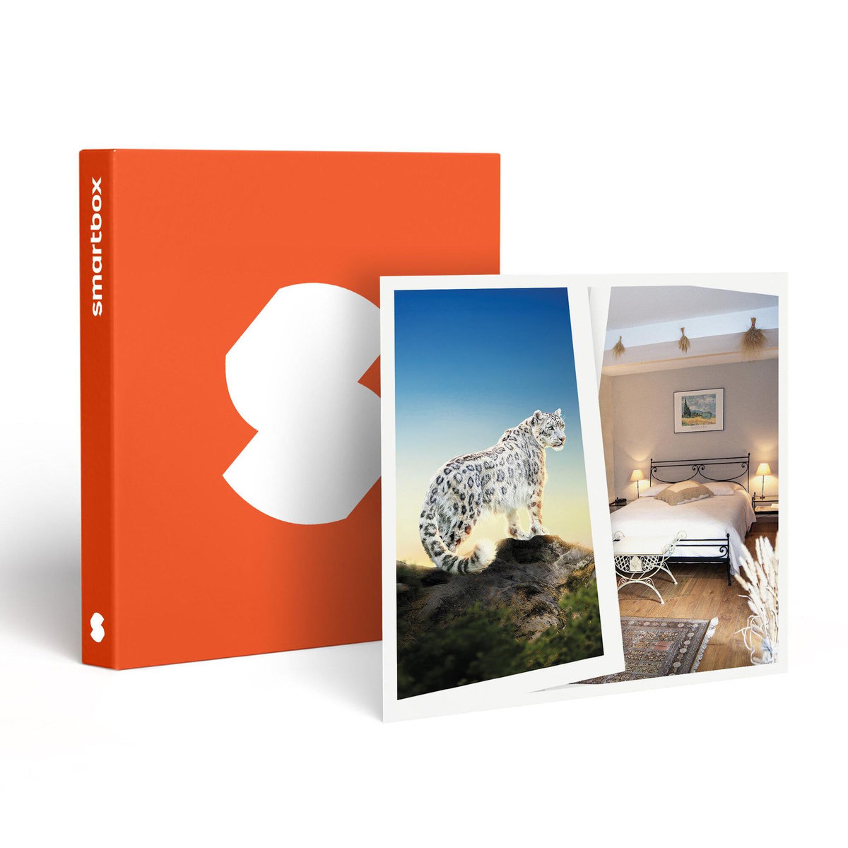 Smartbox ZooParc de Beauval : 2 entrées adulte (2 journées) 2026 et 1 nuit en hôtel à proximité - Coffret Cadeau Multi-thèmes