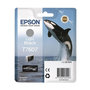 Voir la diapositive 1 : Epson Epson Cartouche Orque T7607 Noir clair