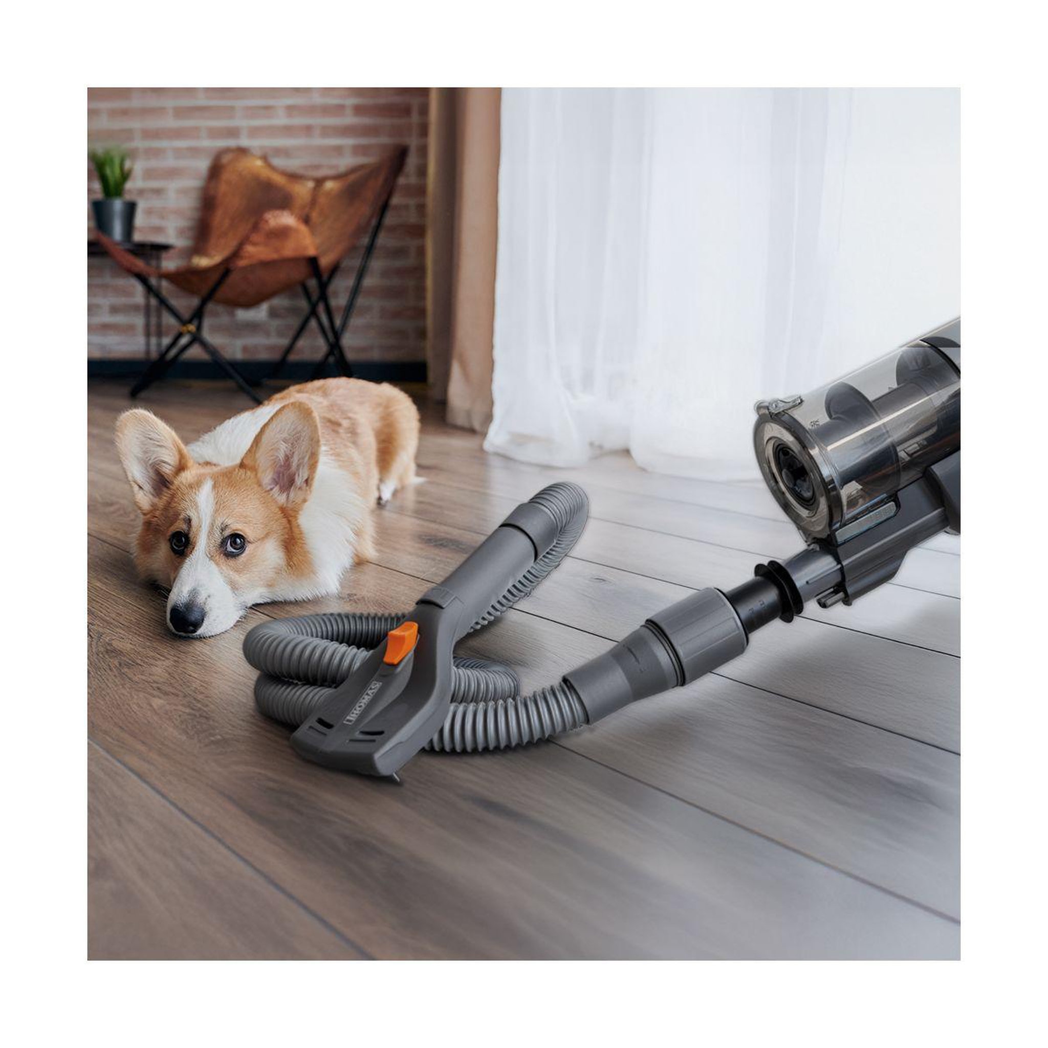 Voir la diapositive 5 : Thomas Accessoire toilettage toilettage douce chiens chats aspirateur