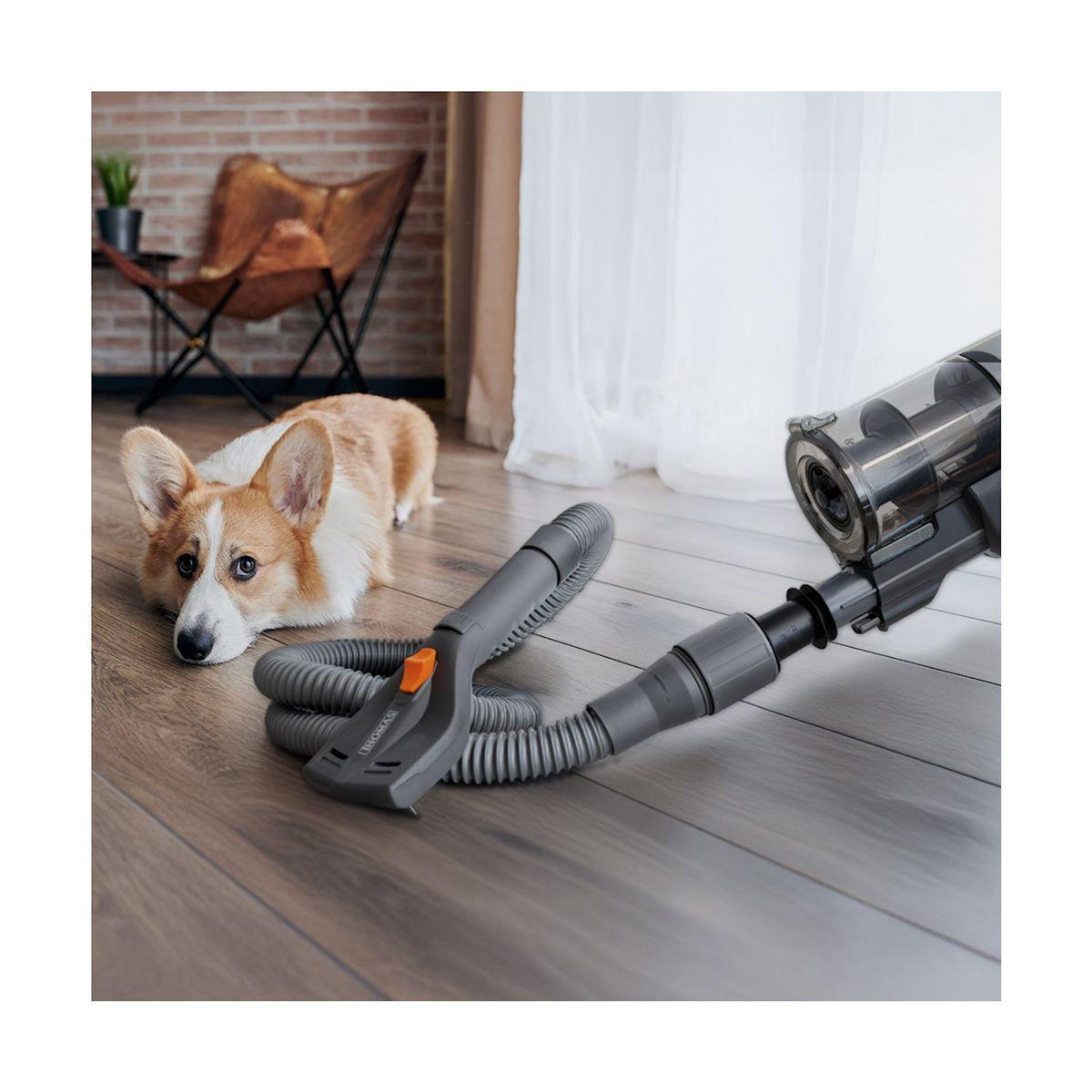 Thomas Accessoire toilettage Toilettage douce chiens chats aspirateur