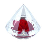 SC CRYSTAL Ecrin décoré d'une rose éternelle - stabilisée rouge