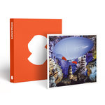 Smartbox Vol en aéroplume de 20 min avec 1 accompagnant au sol dans une grotte près d'Alès - Coffret Cadeau Sport & Aventure