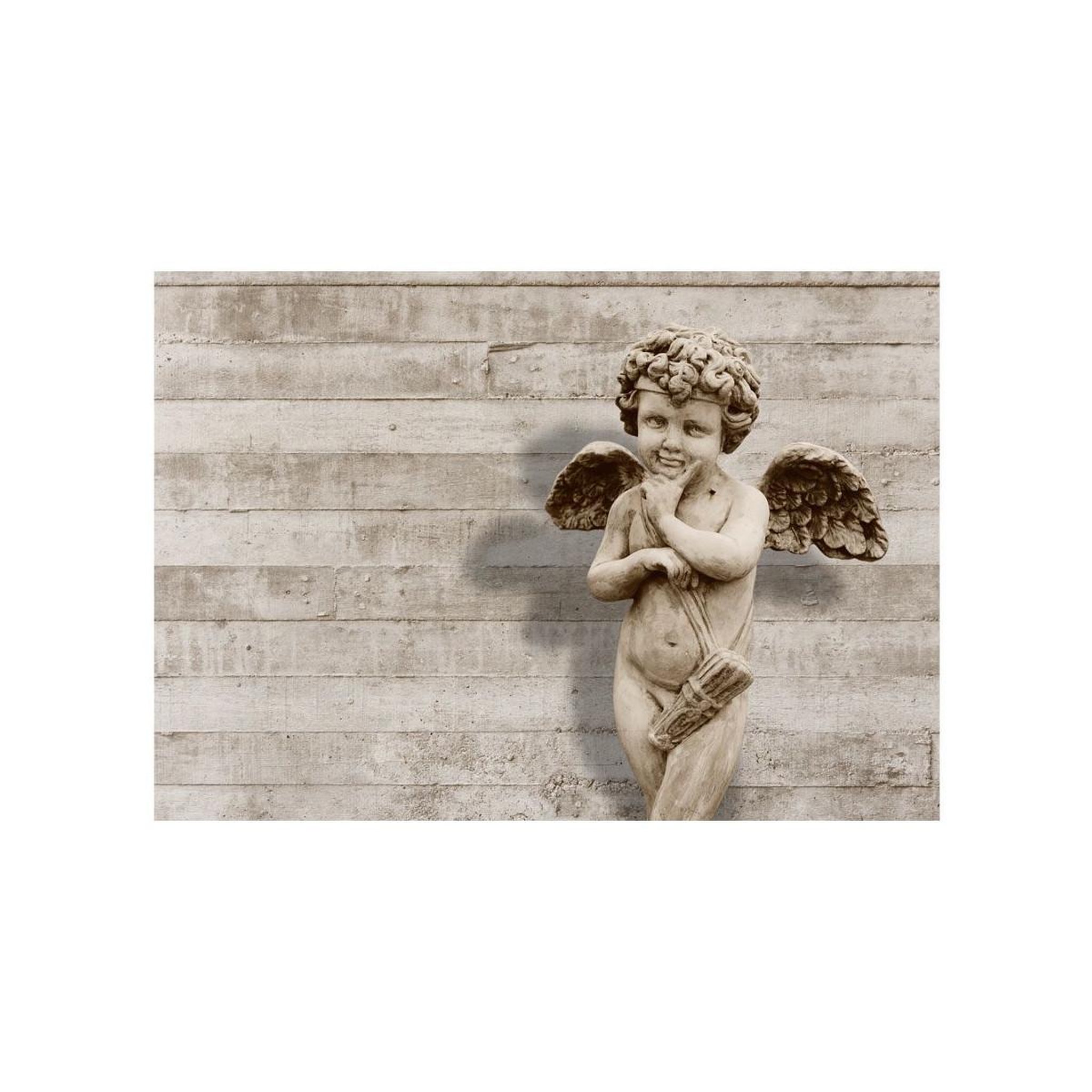 Voir la diapositive 2 : Paris Prix Papier Peint  Angelic Face